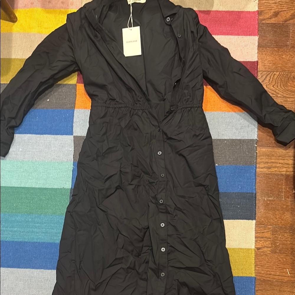 Everlane Black Long Sleeve Buttoned Dress (NWT!)